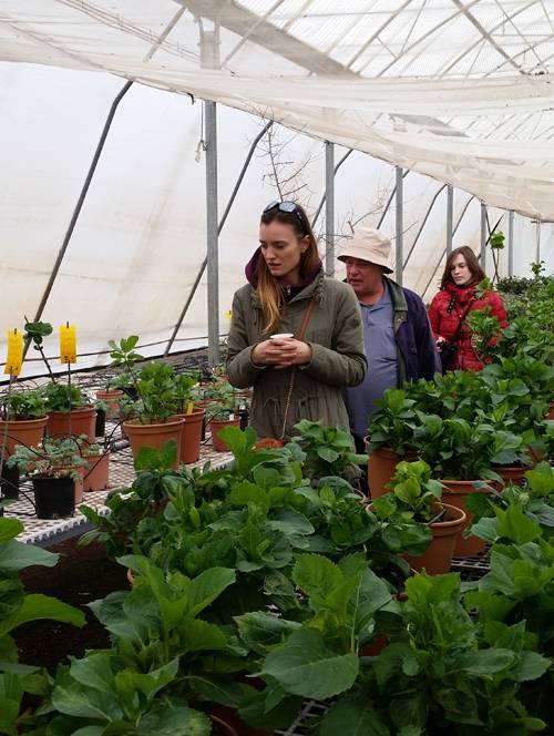 Rain harvesting management tour