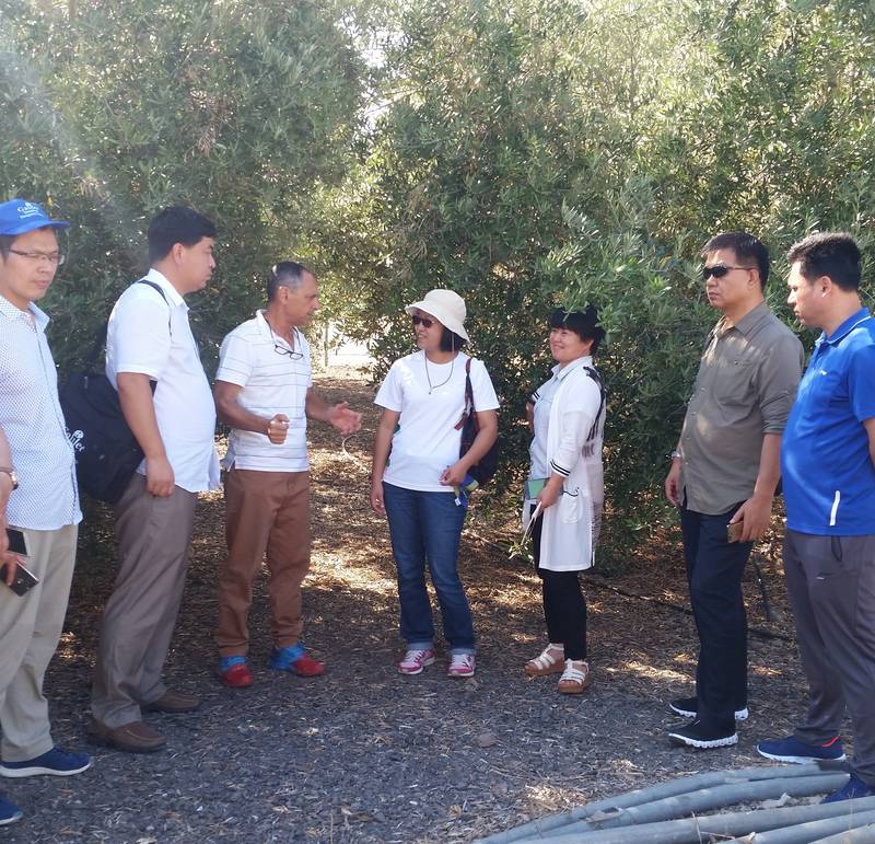 A course of irrigation and fertilization at the Galilee college for engineers from China 26/6/17