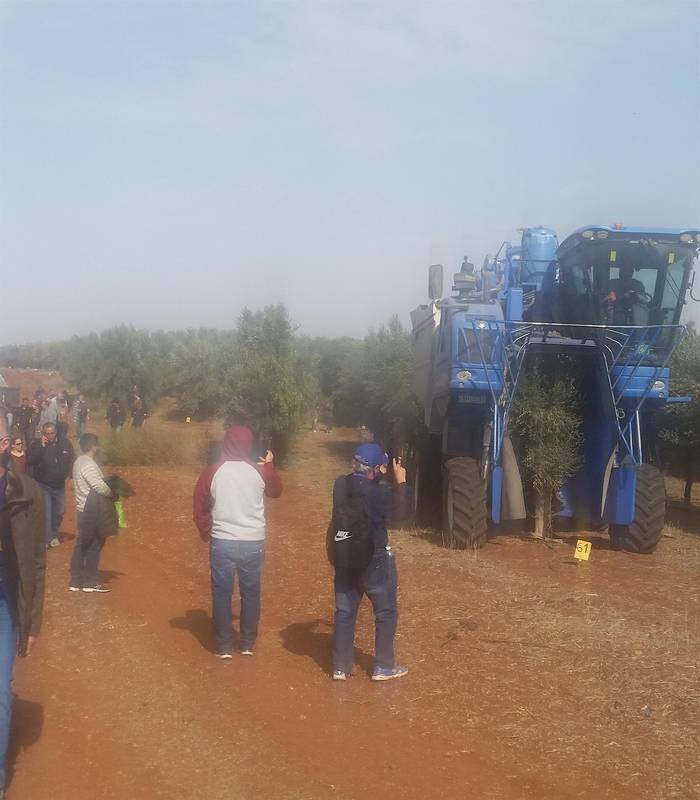 Field trip of olive mechanical harvesting and oil presses process , for Mei Eden 26/11/17